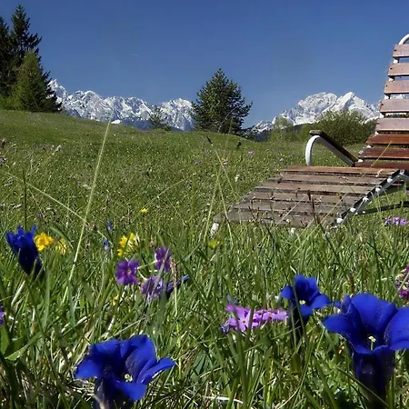 Gaestehaus Alpina